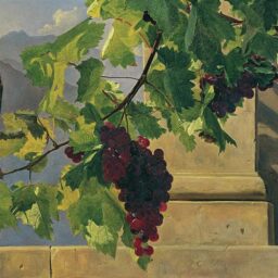 Apart from Me You Can Do Nothing (John 15:1-8)